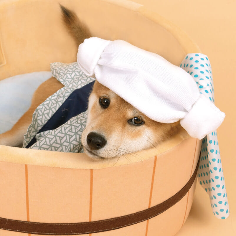ที่นอนสัตว์เลี้ยง PURLAB ONSEN BED ทรงอ่างแช่ออนเซน_3